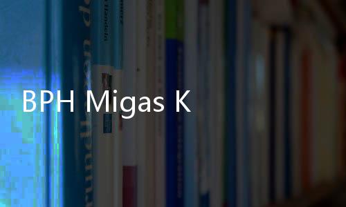 BPH Migas Kebut Pembangunan Infrastruktur Penyaluran Gas Bumi Melalui Pipa