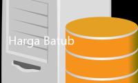 Harga Batubara Acuan Juni 2025 Turun Signifikan Dibanding Tahun Lalu
