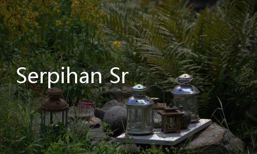 Serpihan Sriwijaya Air SJ 182 Masih Penuhi Areal Dermaga JICT II